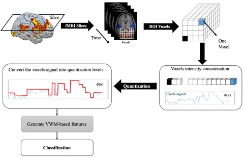 Framework: fMRI voxel signals are concatenated, quantized, turned into voxel-weight-matrix features, and classified.